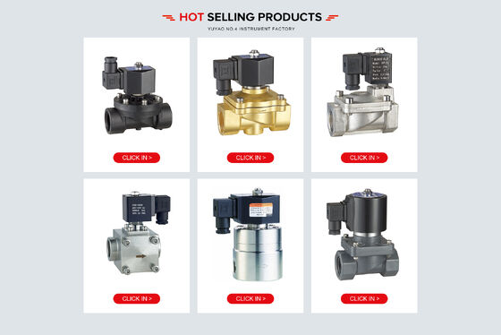 2W Series Brass Gas Solenoid Valve Diaphragm Solenoid Valve 0-10bar